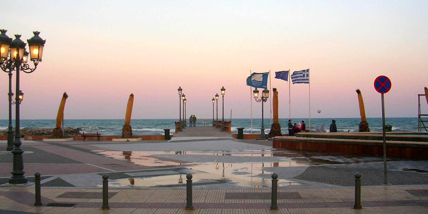 Paralia