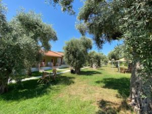 Vila ALEXANDRA Limenas Tasos