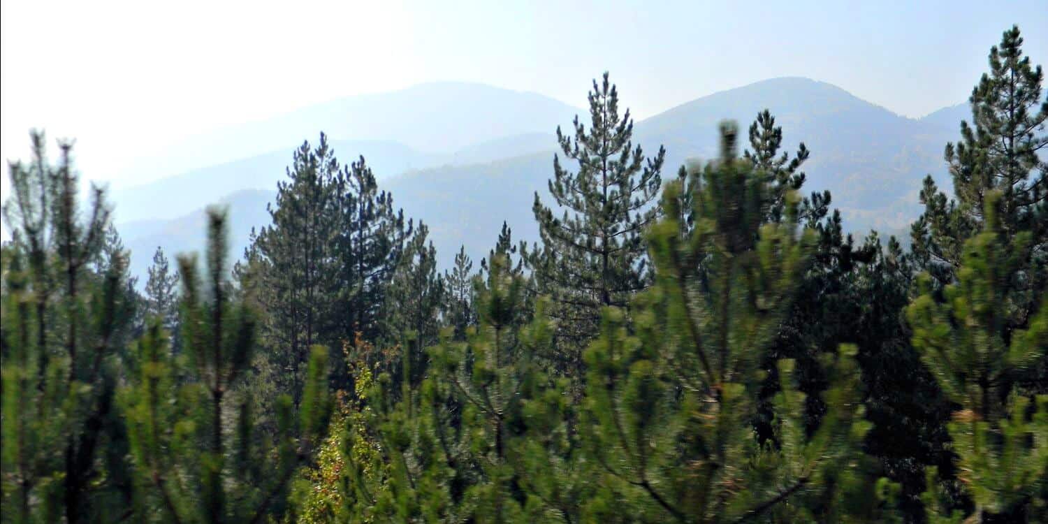  Tara