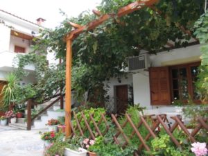 Vila DELFINI Milina Pilion