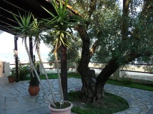 Vila ALEXANDRA Psakoudia