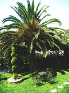 Vila PORTO PSAKOUDIA Psakoudia