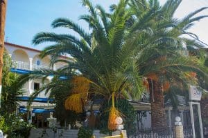 Vila FAY Toroni Sitonija