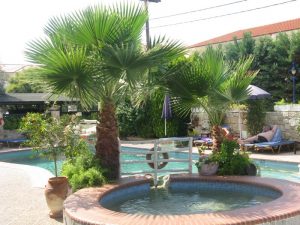 Vila EOLOS Pefkohori