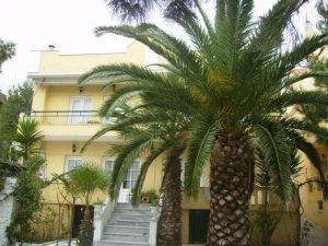 Vila PAPAIKONOMU 1 Potos