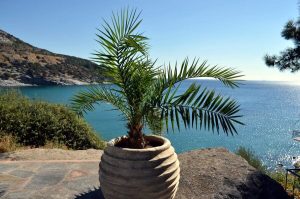 hotel Tosca beach Kavala