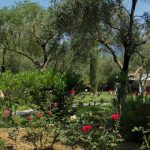 Hotel SAINT NICHOLAS Gouvia