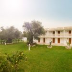 Vila OLIVE GROVE Kavos