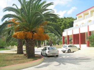 Hotel BELVEDERE Skiatos 2*