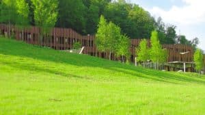 Hotel SOTELIA Terme Olimia