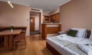 Hotel BELLEVUE Mariborsko Pohorje