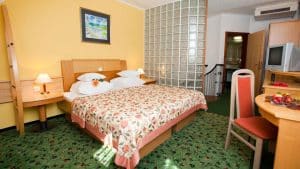 Hotel VITAL Terme Zreče