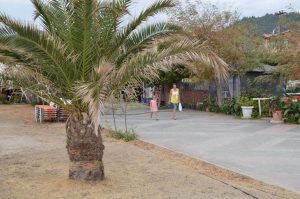 Sarti Sitonija Halkidiki