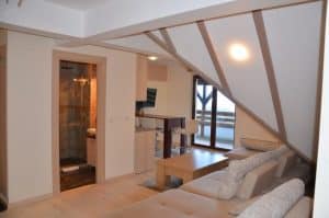 Vila KOPAONIK Kopaonik