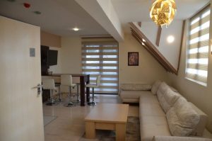 Vila KOPAONIK Kopaonik