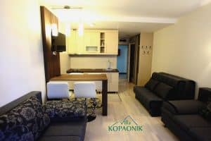 Vila KOPAONIK Kopaonik