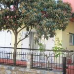 Vila KATARINA Hanioti