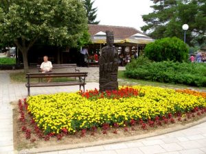 Hotel VRUJCI Banja Vrujci