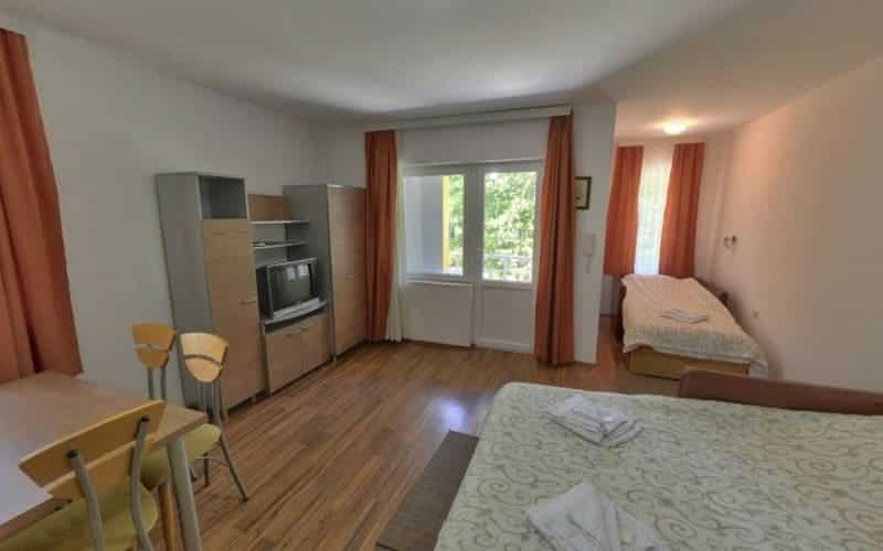 Vila BANJICA Sokobanja