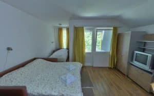 Vila BANJICA Sokobanja