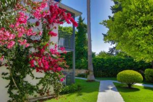 Hotel BITEZ GARDEN LIFE Bodrum