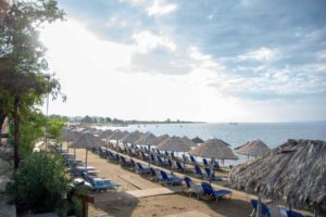 Hotel MELISSA GOLD COAST Psakoudia