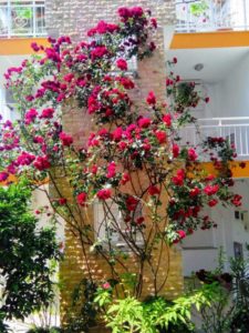 Vila CHRISTOS Potos Tasos