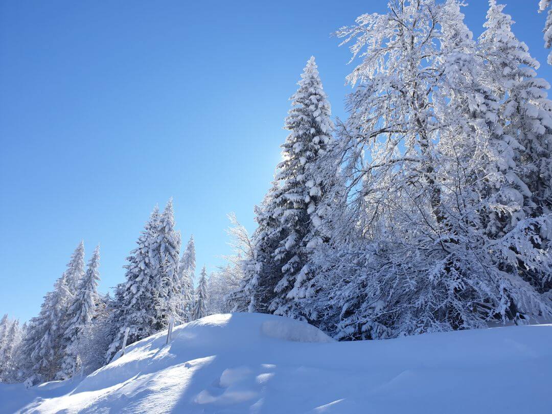 Planina Jahorina