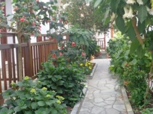 Aparthotel CHAROULA Platanias