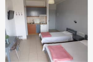 Vila DIMITRIS Nei Pori