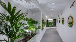 Hotel MARGADINA Aja Napa Kipar