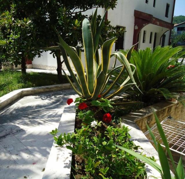 Vila MIRJANA Bečići Vila MIRJANA Bečići