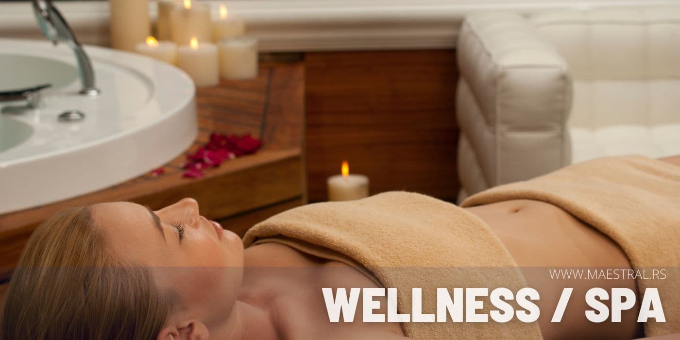 Odmor u Srbiji, Wellness i Spa