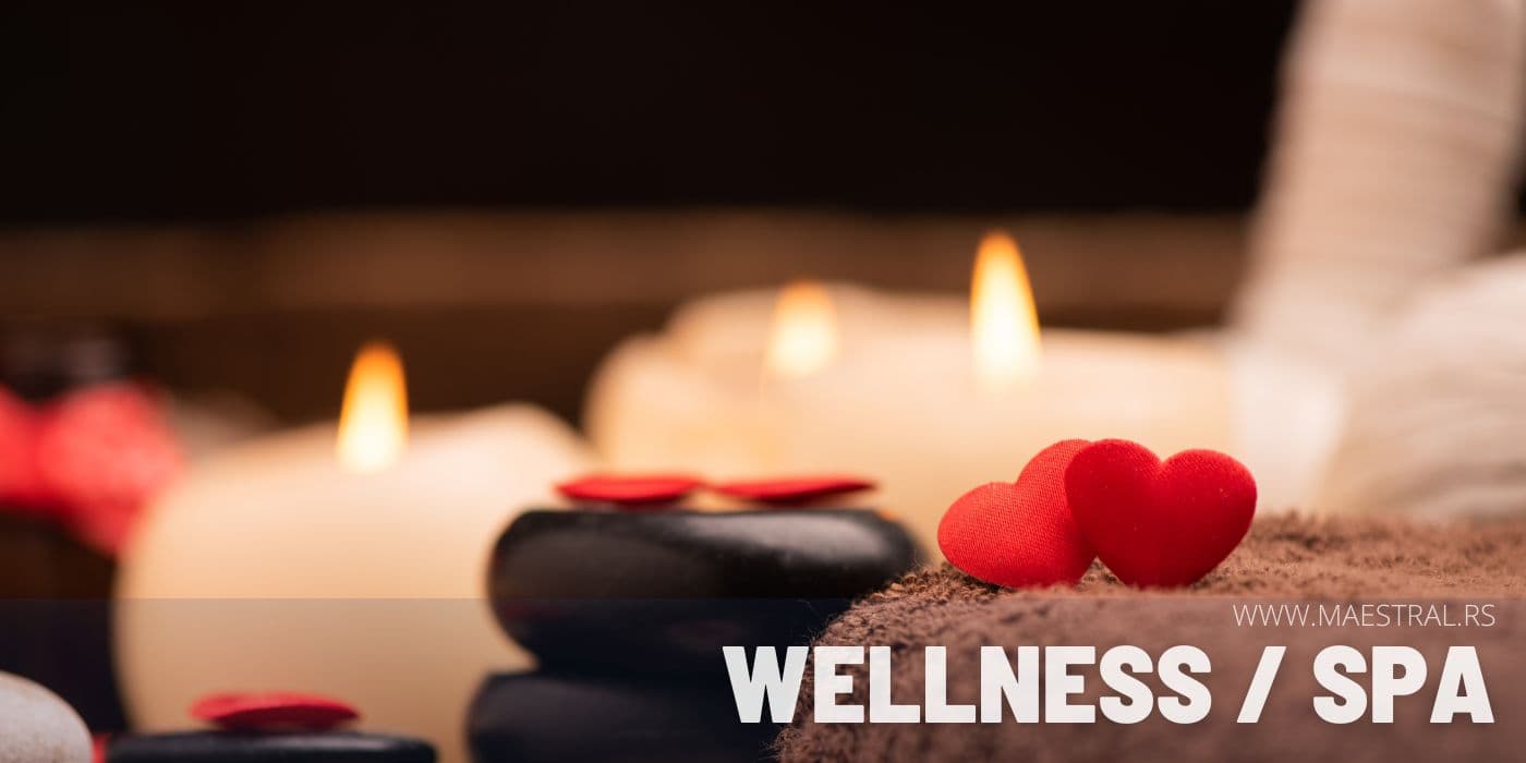 Odmor u Srbiji, Wellness i Spa