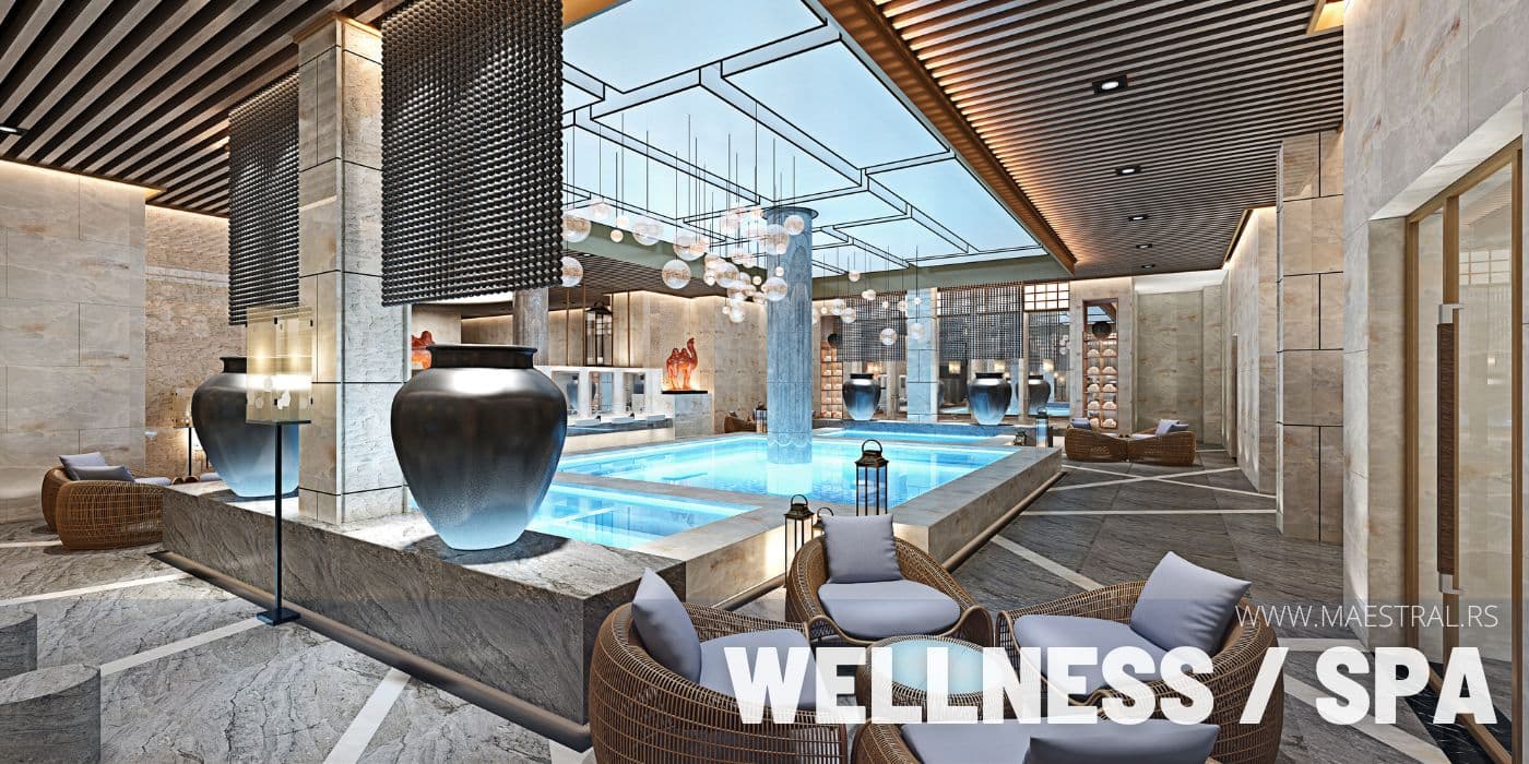 Odmor u Srbiji, Wellness i Spa