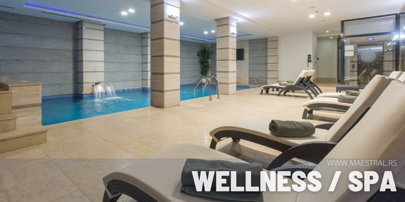 Odmor u Srbiji, Wellness i Spa