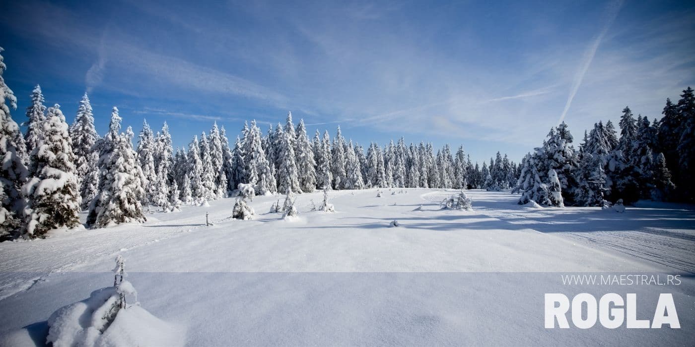 Rogla zimovanja, Rogla skijanje