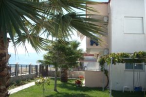 Vila ALKIS Nea Vrasna