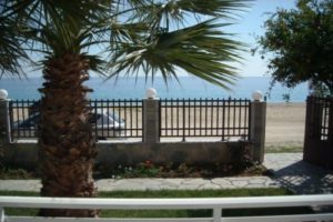 Vila ALKIS Nea Vrasna