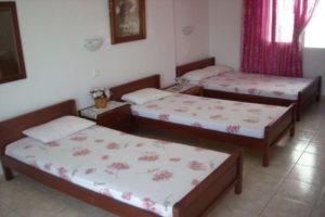 Vila ALKIS Nea Vrasna