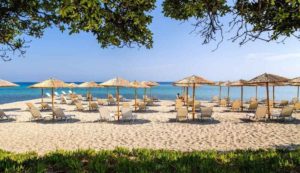 Hotel KASSANDRA PALACE Kriopigi