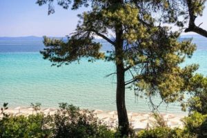 Hotel PARADISE Kriopigi