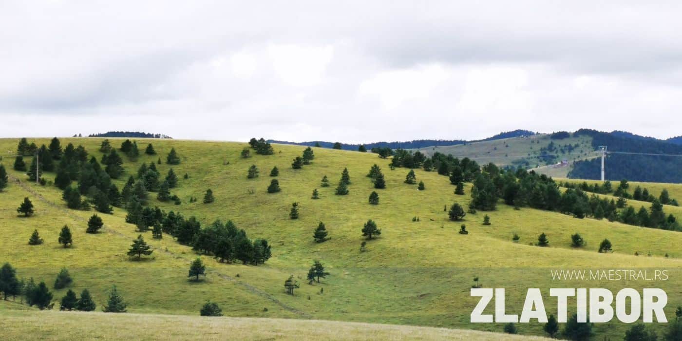 Zlatibor Srbija, odmor na Zlatiboru, apartmani Zlatibor, hoteli Zlatibor