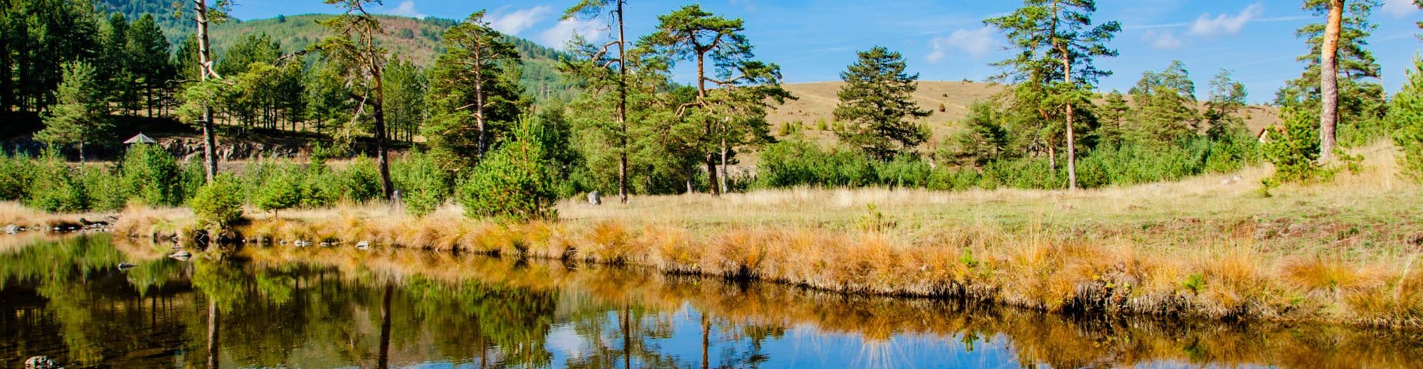  Zlatibor