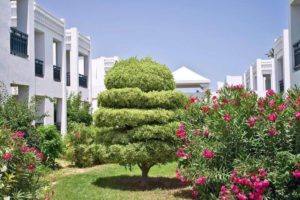 Hotel EL BORJ Mahdia Tuni