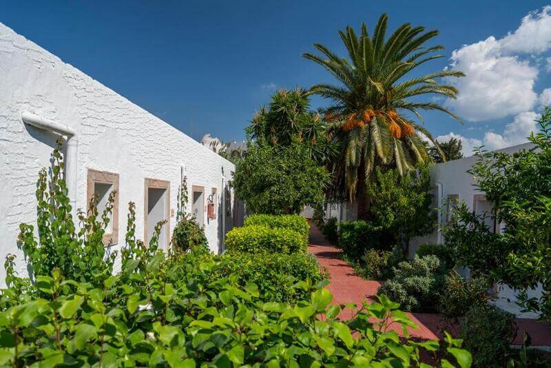 Hotel LE HAMMAMET Hamamet Tunis