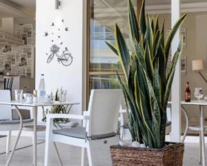 Hotel HIPPOCAMPUS Ixia Rodos