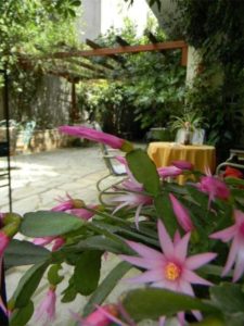 Vila XENIOS Milina Pilion