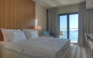 Hotel ALEKSANDAR Rafailovici