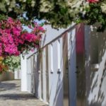 Hotel NISSI BEACH Aja Napa Kipar